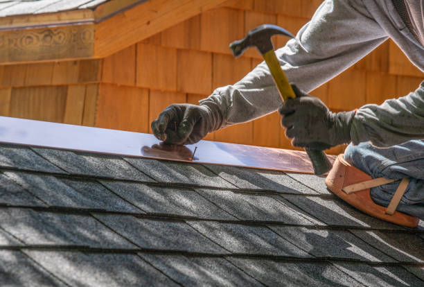Best Solar Panel Roofing Installation  in Natchez, MS